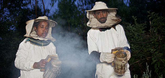 ethiopia-honey-production_0_1.jpg