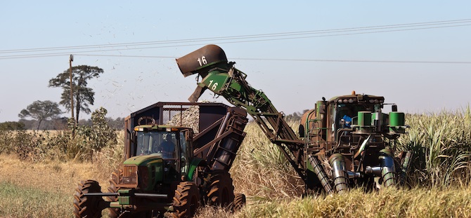 brazil-sugar-cane-harvest.jpg
