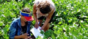 cuba-sugar-land-3.jpg