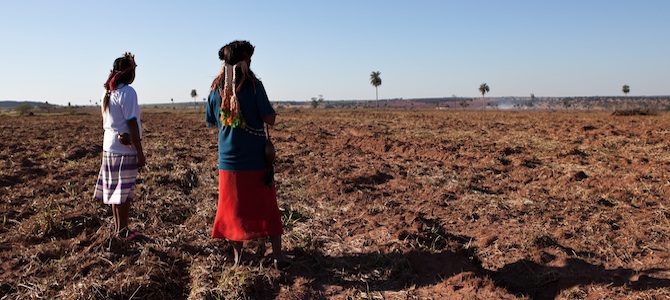 land-grabs-sugar-brazil-34.jpg