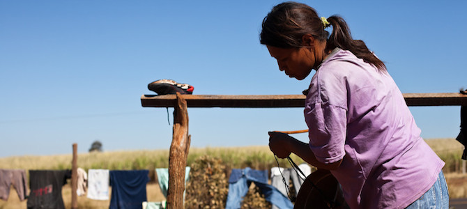brazil-farming-2.jpg
