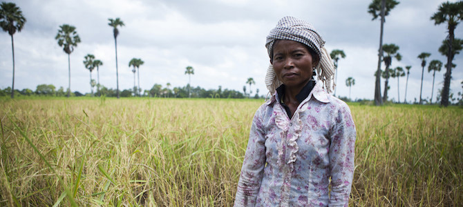cambodia-rice-intensification-670p.jpg