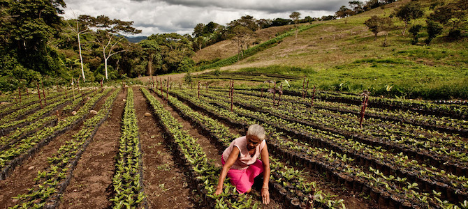 nicarauga-smallhold-farming.jpg
