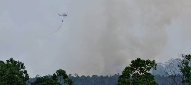 burningforests-indonesia_grow-palmoil-2014_dessyafrizal-oxfam.jpg
