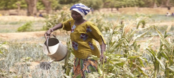 resilience-women-organizations-2014-09.jpg