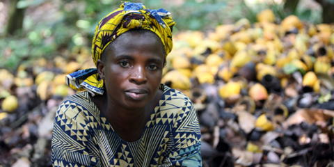 Cocoa Farmer