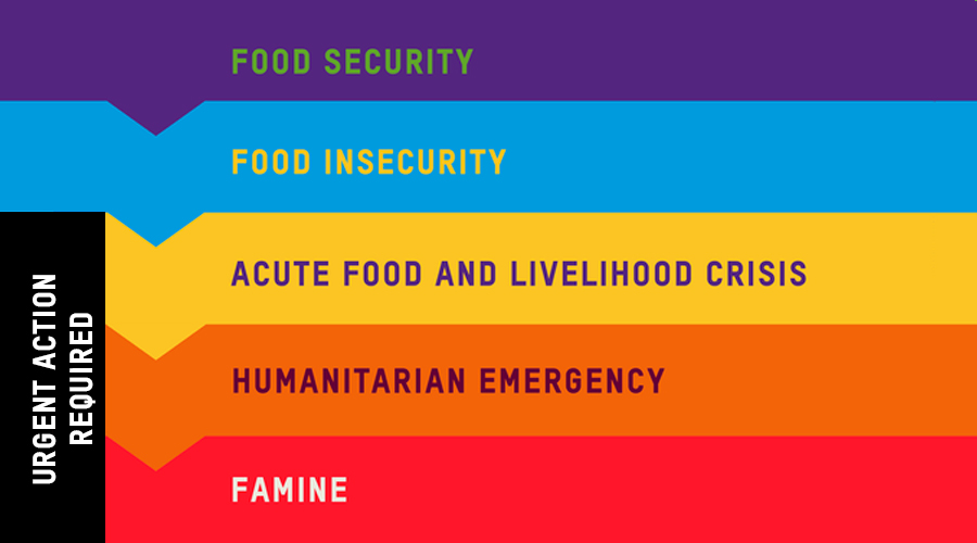 Food security infographic.
