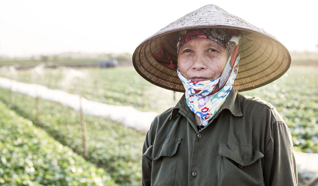 An elderly Vietnamese woman with light skin and brown eyes wears a conical leaf hat and a multi-coloured scarf around her head, chin and neck. She wears a long-sleeved khaki button-down shirt and is standing in front of a rice and vegetable farm in Me Linh District near Hanoi, Vietnam.