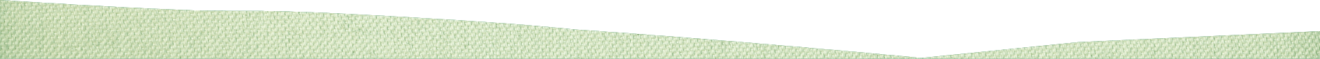 what-she-makes-divider-green what-she-makes-divider-green