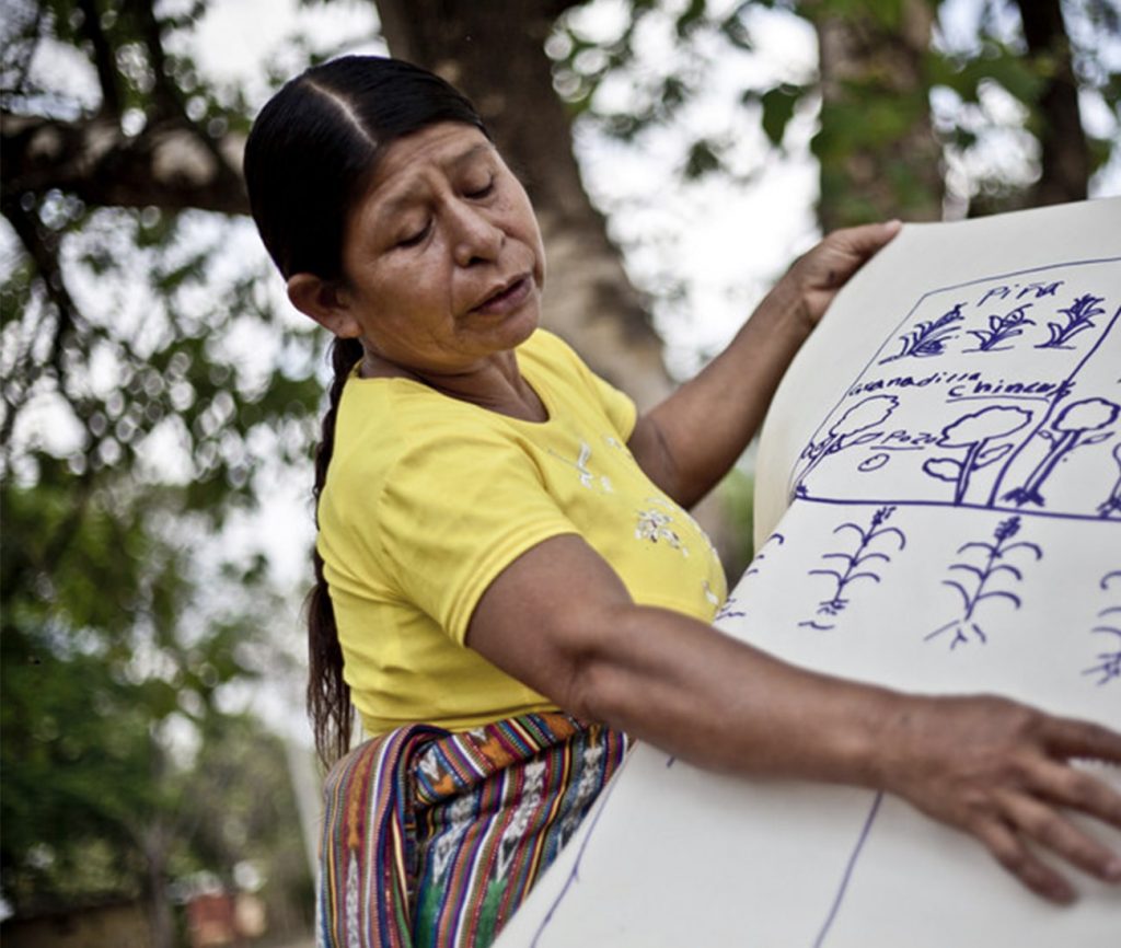 A woman wearing a yellow shirt drawing different plant illustrations on a chart paper