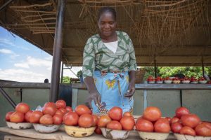 Women in green blue floral shirt wearing blue skirt standing in front of her tomato crops.