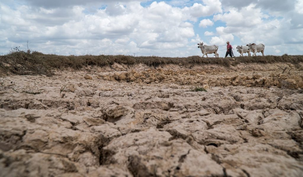 View of dry brown terrain and a blue sky with thick white clouds in the horizon. Far away, to our right, a man shepards his three goats.