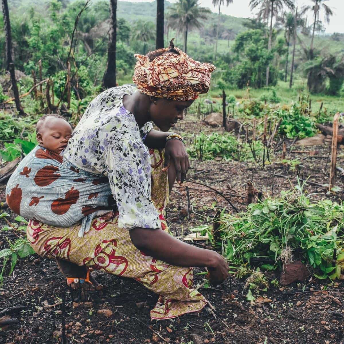 A dark-skinned young woman in a long-sleeved shirt and long skirt iscrouches to tend to crops with a sleeping dark-skinned baby in a fabric baby sling on her back.