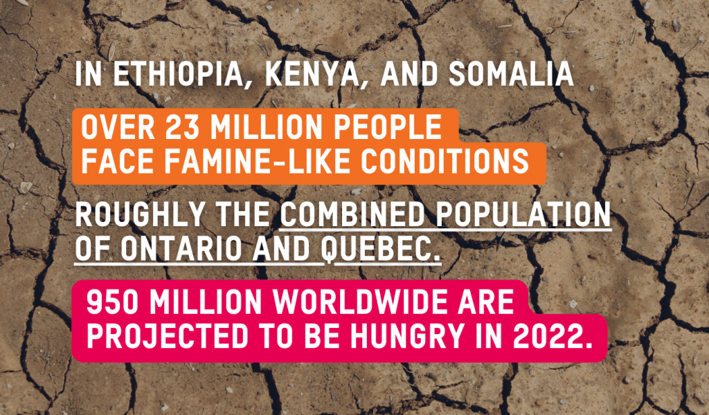 Background depicts a brown and dry erosioned soil. Text reads: In Ethiopia, Kenya, and Somalia, over 23 million people face famine-like conditions —roughly the combined population of Ontario and Quebec. 950 million, are projected to be hungry in 2022.