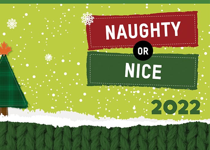 An illustration of a snowy backdrop and a sign saying Naught Or Nice 2022
