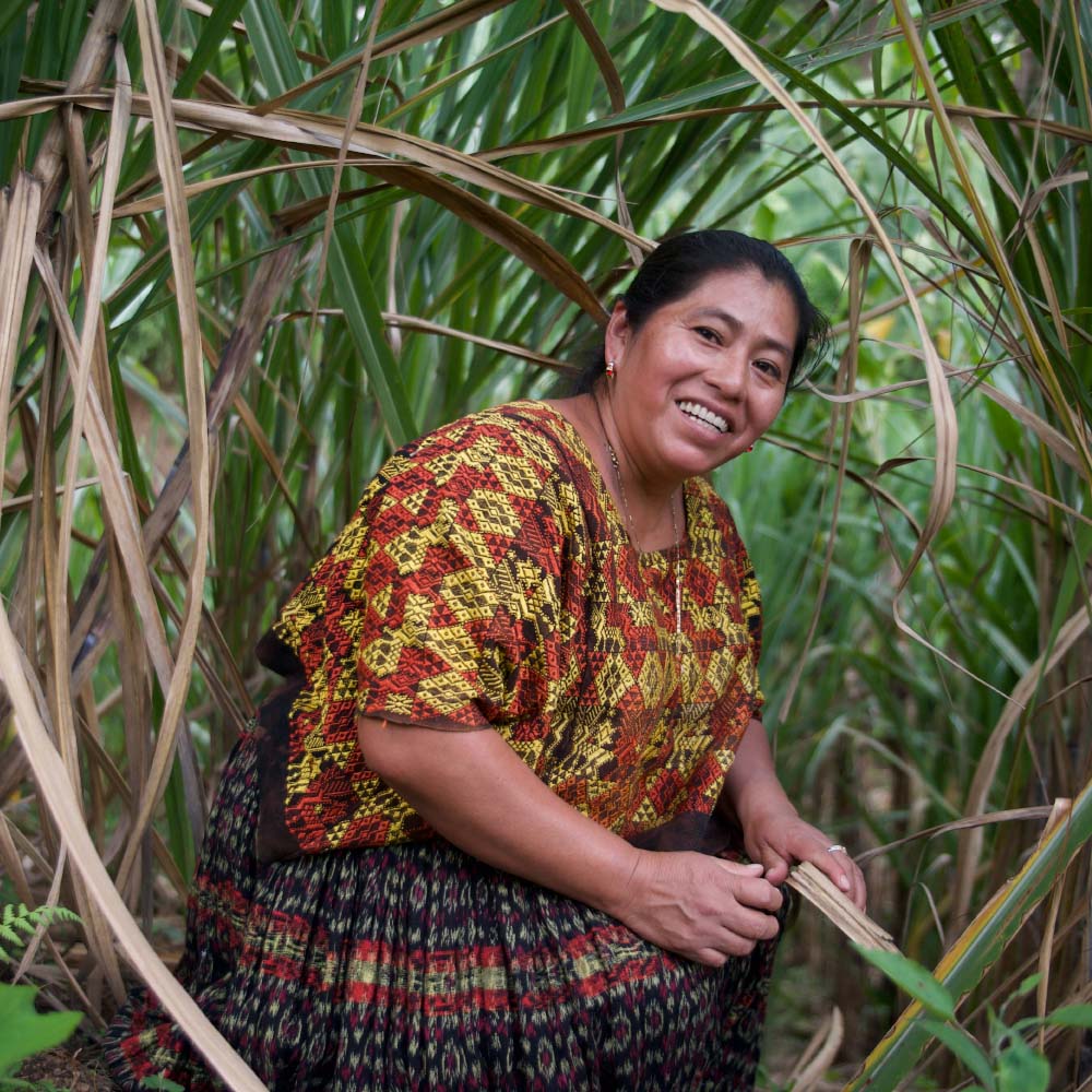 A woman smiles for the camera while harvesting palm leaves.