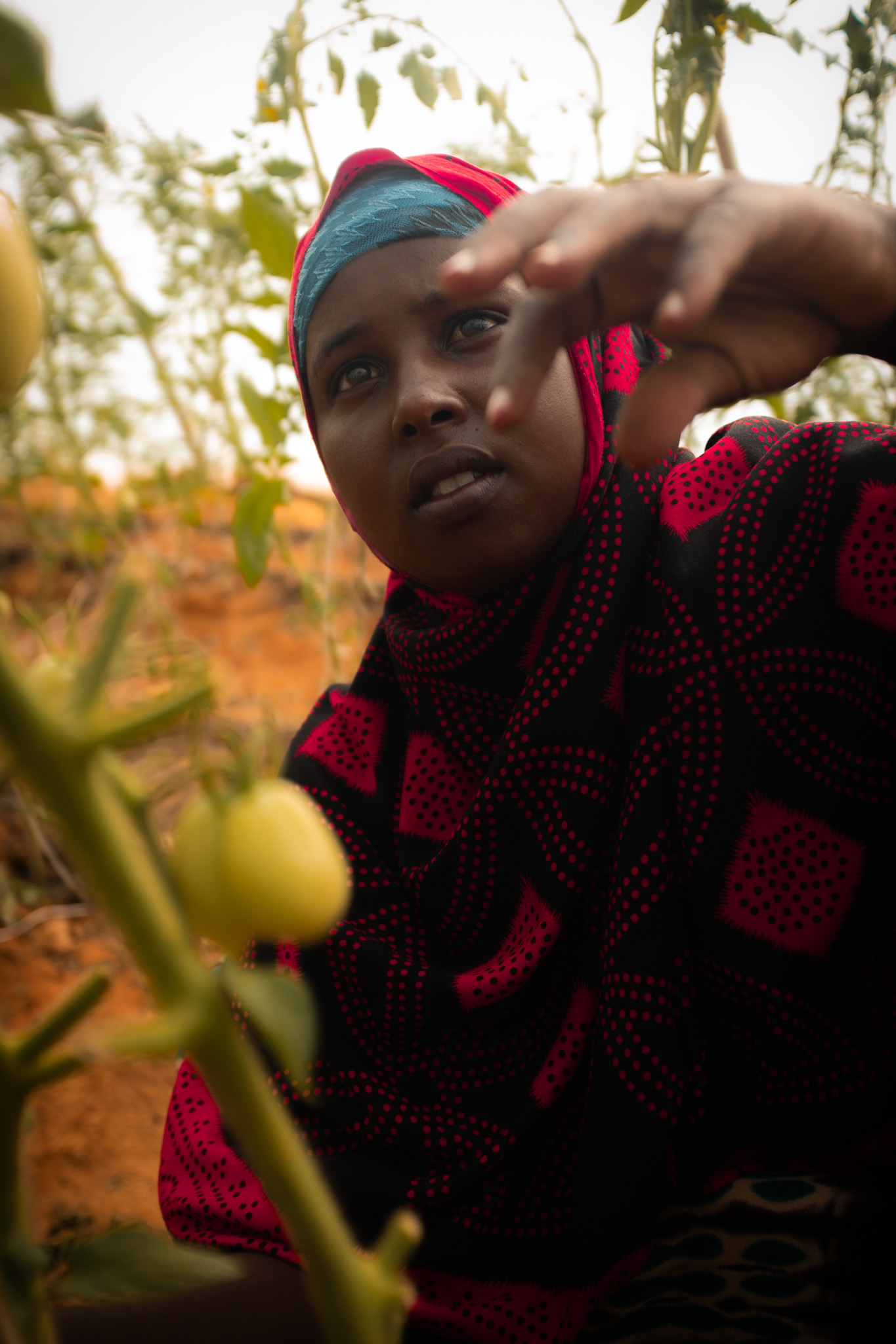 DSCF7646 Nimo is a member of the greenhouse cooperative. Photo: Caroline Leal/Oxfam