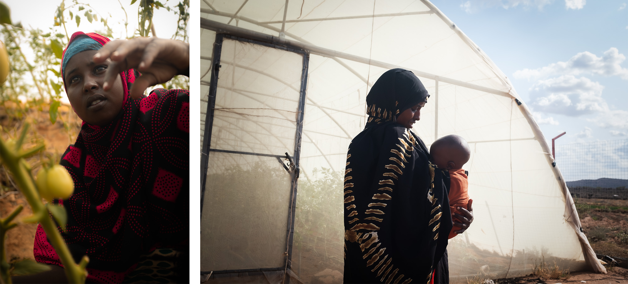 Two-Photos L-R: A young woman picks a tomato inside the community greenhouse. Ayan and her child outside a greenhouse in Somaliland. Photo: Caroline Leal/Oxfam