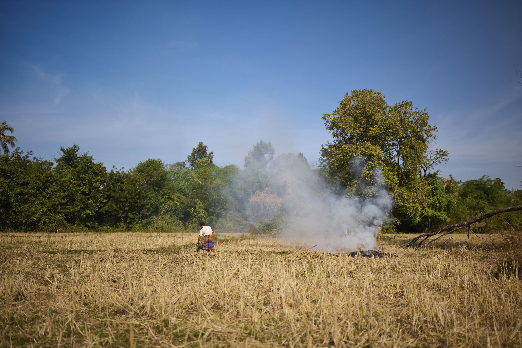 GO-Rice: Gender-Just, Climate Smart Rice Production in the Mekong Delta ...