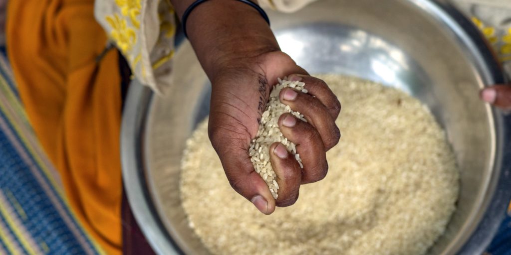 GoRice is supporting sustainable, low-carbon rice farming in Vietnam’s Mekong Delta (An Giang, Can Tho, and Vinh Long provinces) by promoting climate-smart practices, fair carbon markets, and stronger climate policies.