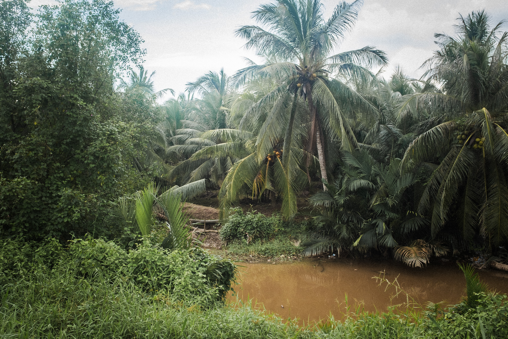 The lush countryside of southern Vietnam. Photo: Caroline Leal/Oxfam