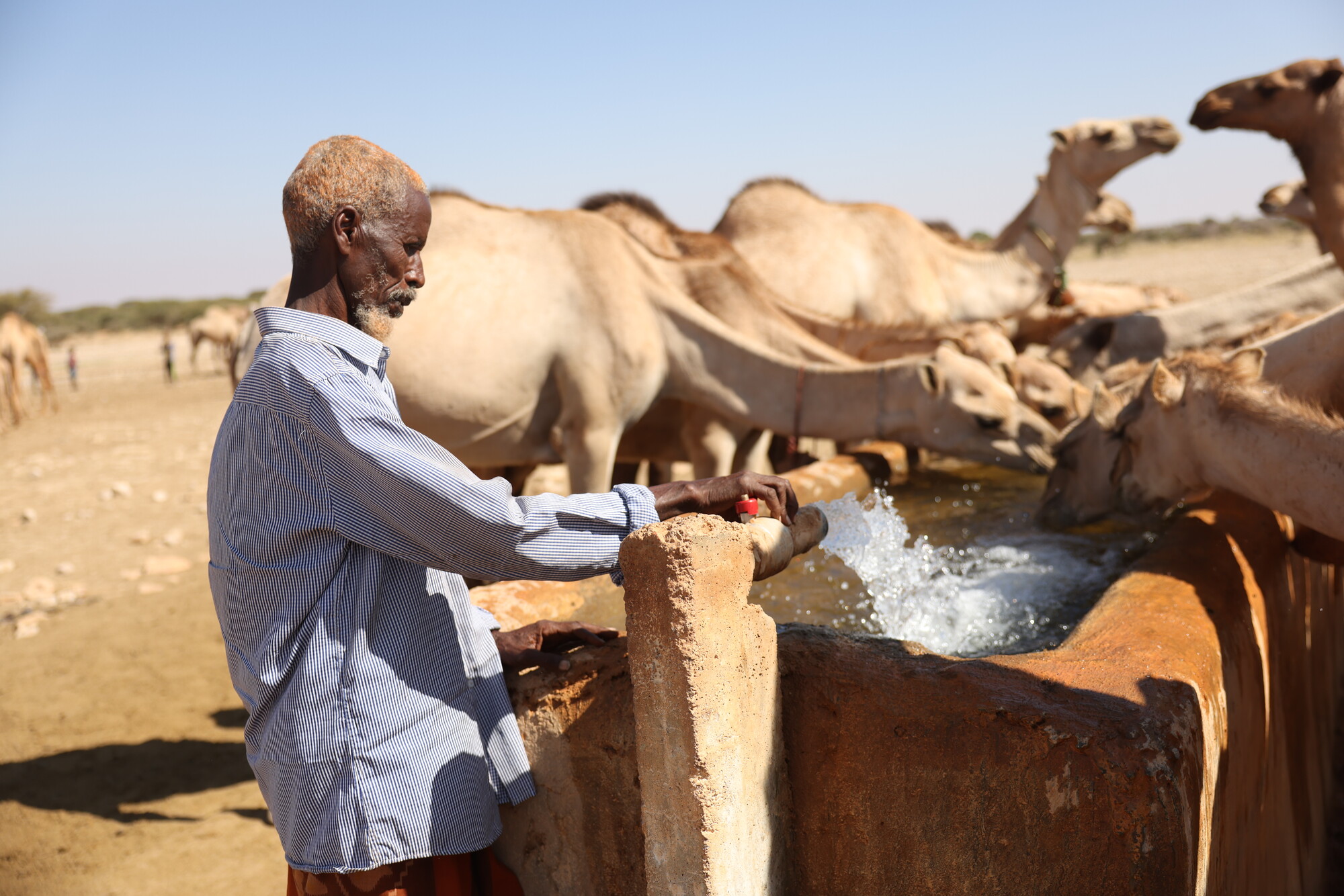 Mohamed Yusuf Bulaale tends to his camels as they drink from a water well constructed by Oxfam. The well provides a vital water source for both pastoralists and their livestock in this drought-affected region. Photo: Hassan Siyad Hussein/Oxfam
