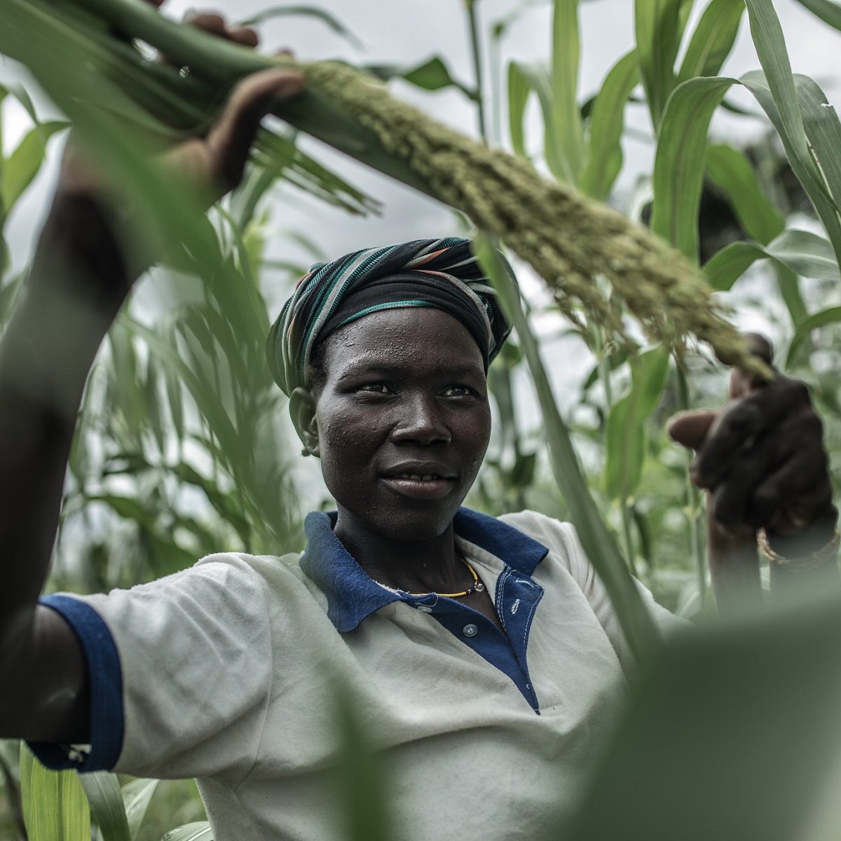 A black woman harvesting plants.