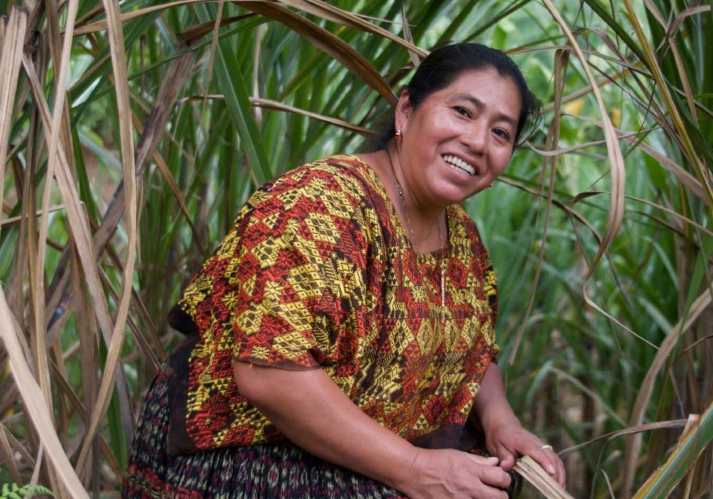 GlobalReach_Hero1 A woman smiles for the camera while harvesting palm leaves.